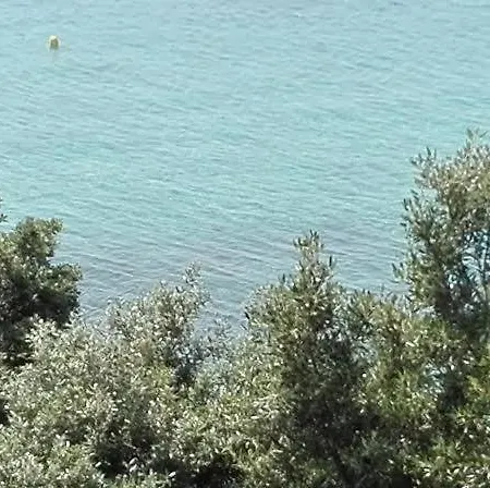 Appartamento Mia Fuer Vier Personen